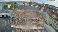 Miniaturansicht