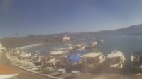 Cervi - Port