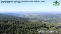 Maibrunn - Waldwipfelweg - Forêt bavaroise