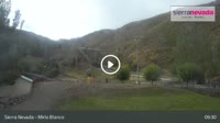 Sierra Nevada - Mirlo Blanco