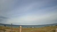 Fehmarn - Strukkamp - Plaża