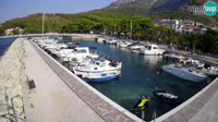 Svogoschia - Blato Marina