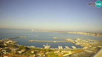 Roses - Porto