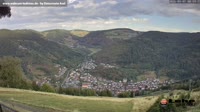 Todtnau im Südschwarzwald - Hasenhorn