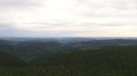 Schneekopf - Tiuringijos Miškas