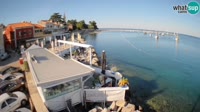 Cittanova - Porporela