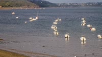 Plouézec - Port Lazo