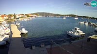 Asinello - Porto