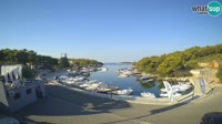Trebocconi - Sovlje Marina