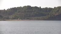 Tasas - Potos