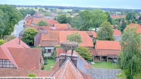 Hohne - Storks