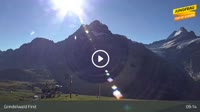 Grindelwald - First