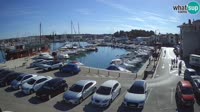 Novigrad - Porporela Marina