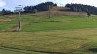 Koziniec