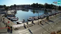 Novigrad - Mandrač