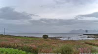 Laukvik