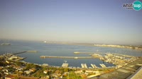 Roses - Port