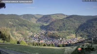 Todtnau im Südschwarzwald - Hasenhorn