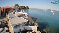 Novigrad - Porporela