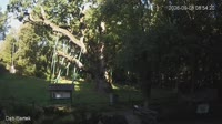 Zagnańsk - Bartekas