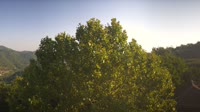 Bosia - Panorama