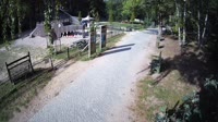 Miško parkas
