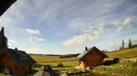 Oberharz am Brocken - Tanne