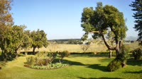 Stellenbosch - Raithby - Eikendal Vineyards
