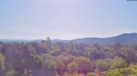 Corse - San-Gavino-di-Carbini