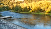 Przystań Flisacka
