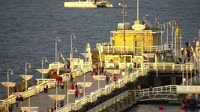 Muelle y playa
