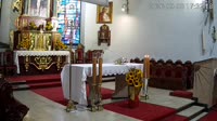 Jeleń - Iglesia