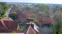 Hohne - Cigognes