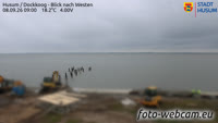 Husum - Dockkoog