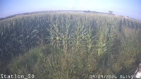 Eboli - Borgo Cioffi