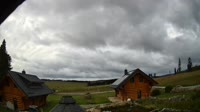 Oberharz am Brocken - Tanne