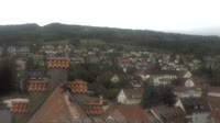 Markdorf - Cigognes