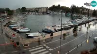 Novigrad - Mandrač