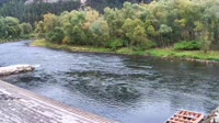 Przystań Flisacka