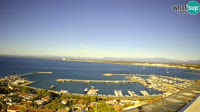 Roses - Port