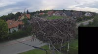 Miniaturka