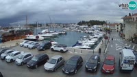 Novigrad - Porporela Marina