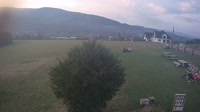 Miniatiūra