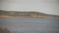 Miniatiūra