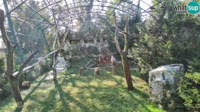 Zagrebas - Zoologijos sodas - Grifai