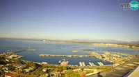 Roses - Porto