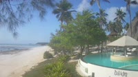 Zanzibar - Michamvi-Pingwe Beach