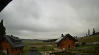 Oberharz am Brocken - Tanne