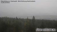 Steinwald - Marktredwitz