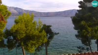 Curzola - Lumbarda Resort Apartments